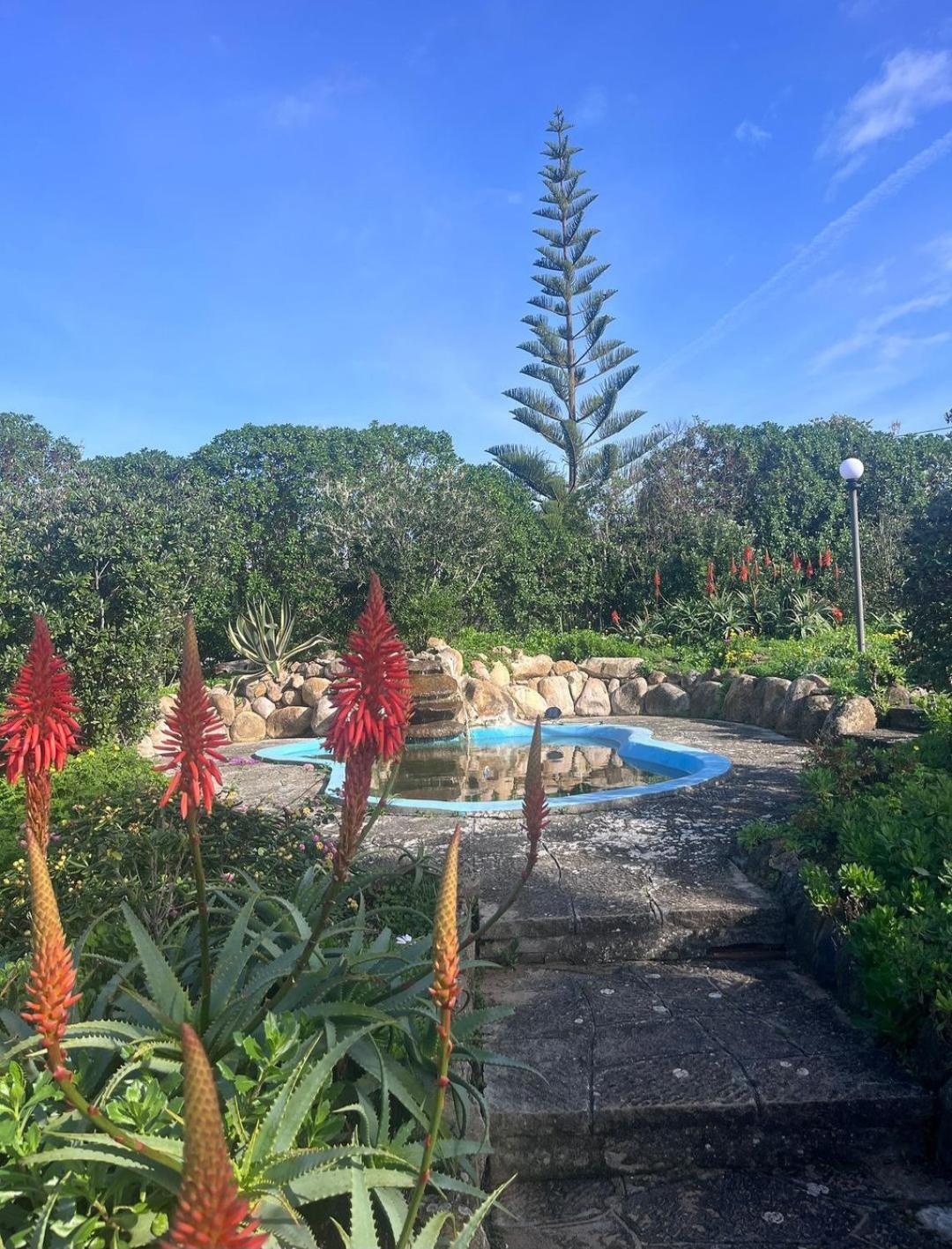 Alto Da Praia Villa โกลาเรส ภายนอก รูปภาพ